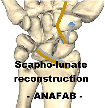 Research and Innovations